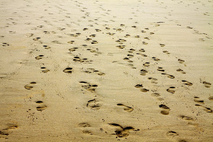 people's footprints in the sand, beach, nature, sea, outdoor, HD wallpaper