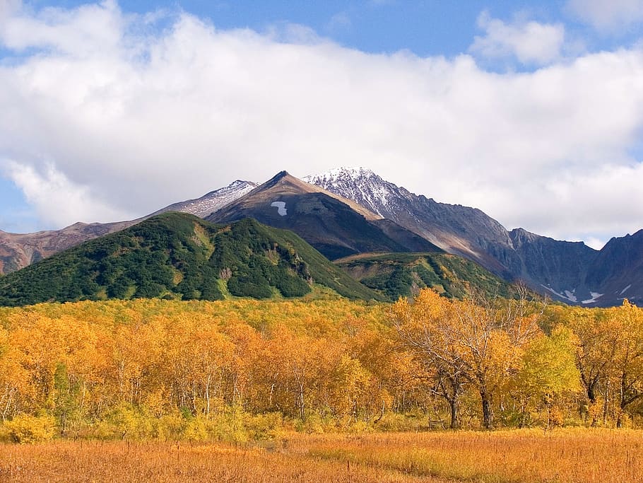 autumn, mountains, clouds, forest, trees, birch, fall colors HD wallpaper