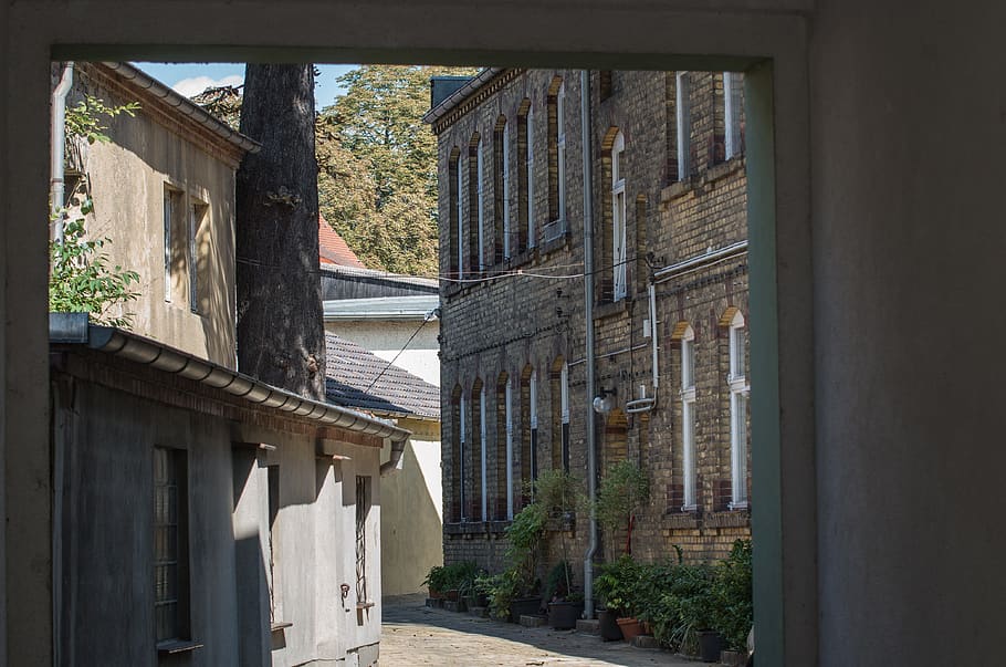architecture, backyard, window, house, old, old building, historically HD wallpaper