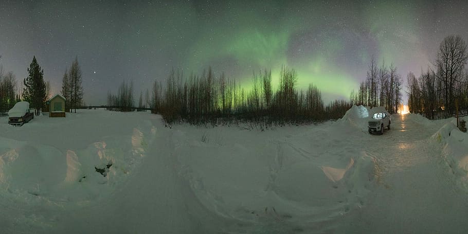 Aurora Borealis over trees, aurora lights in the sky, mountain HD wallpaper