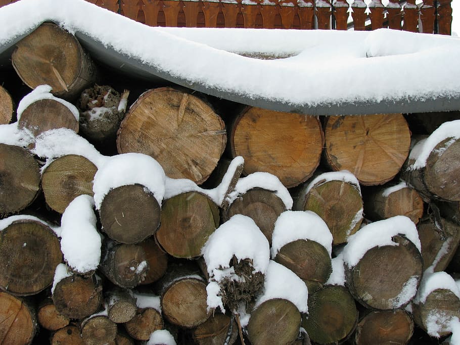 stacked, logs, snow, winter, cold temperature, timber, wood - material HD wallpaper