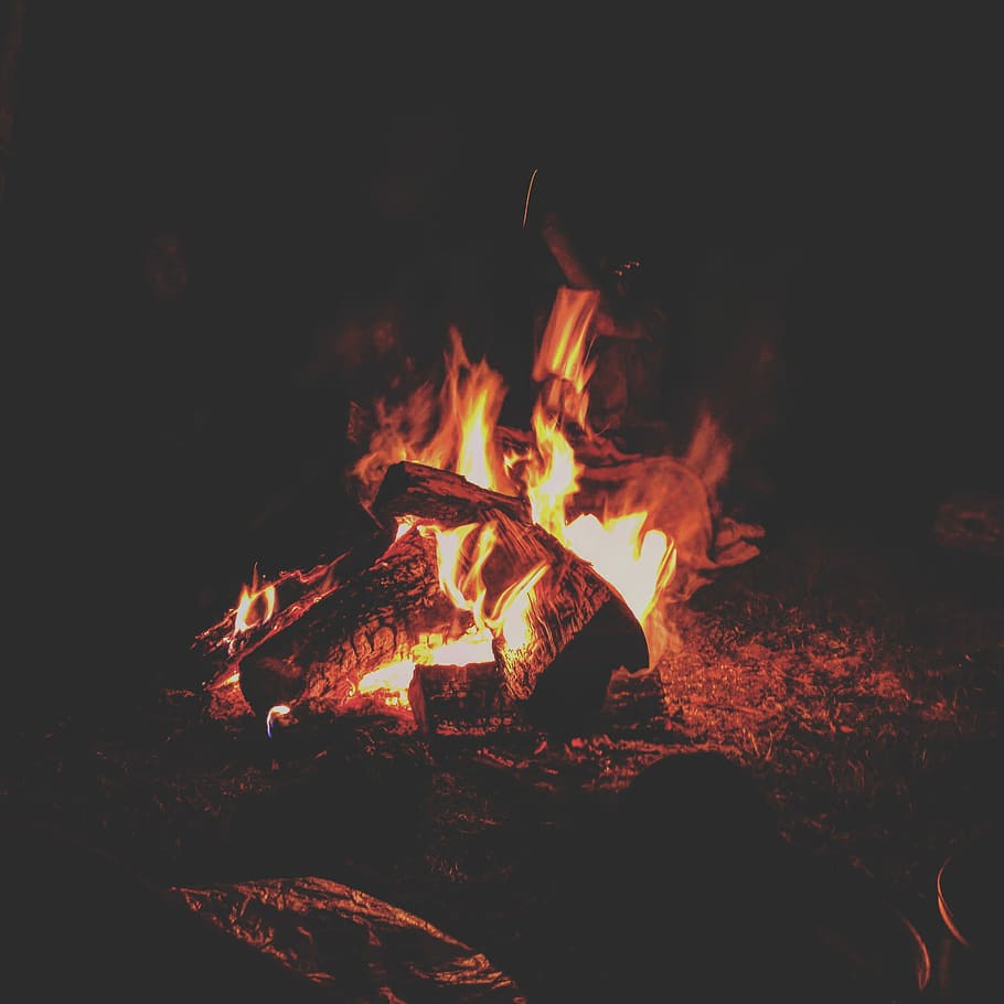 bonfire during nighttime, lighted bonfire during nighttime, flame HD wallpaper