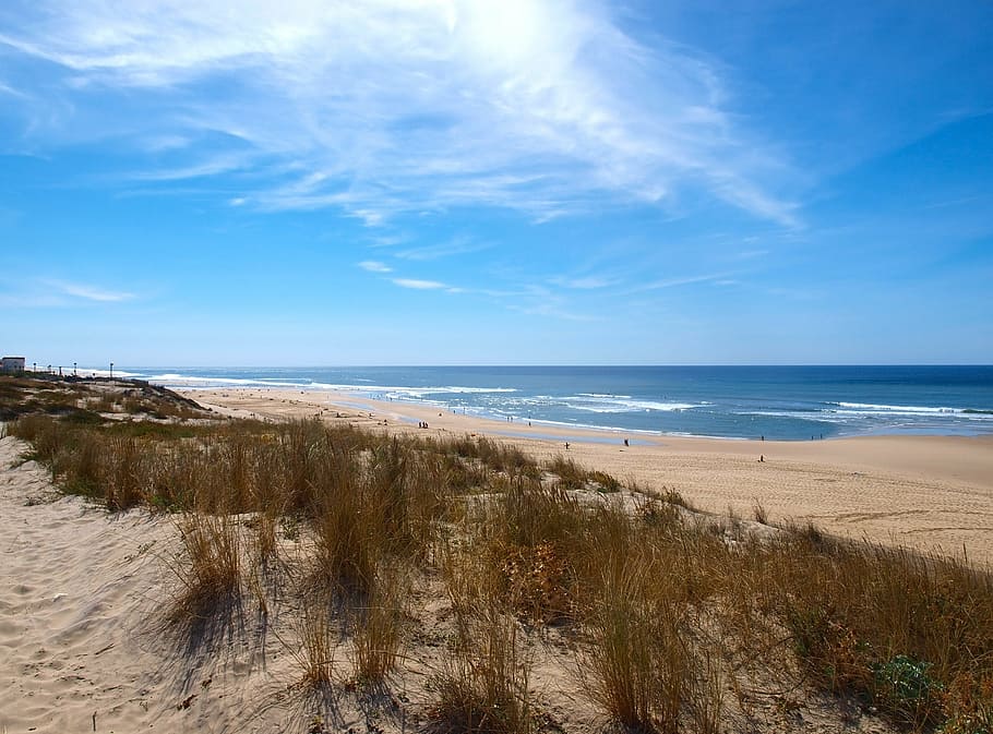 beach, dunes, ocean, seaside, shore, sandy beach, atlantic HD wallpaper