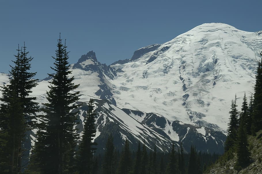 mount rainer, mountain, peak, washington, landscape, national HD wallpaper