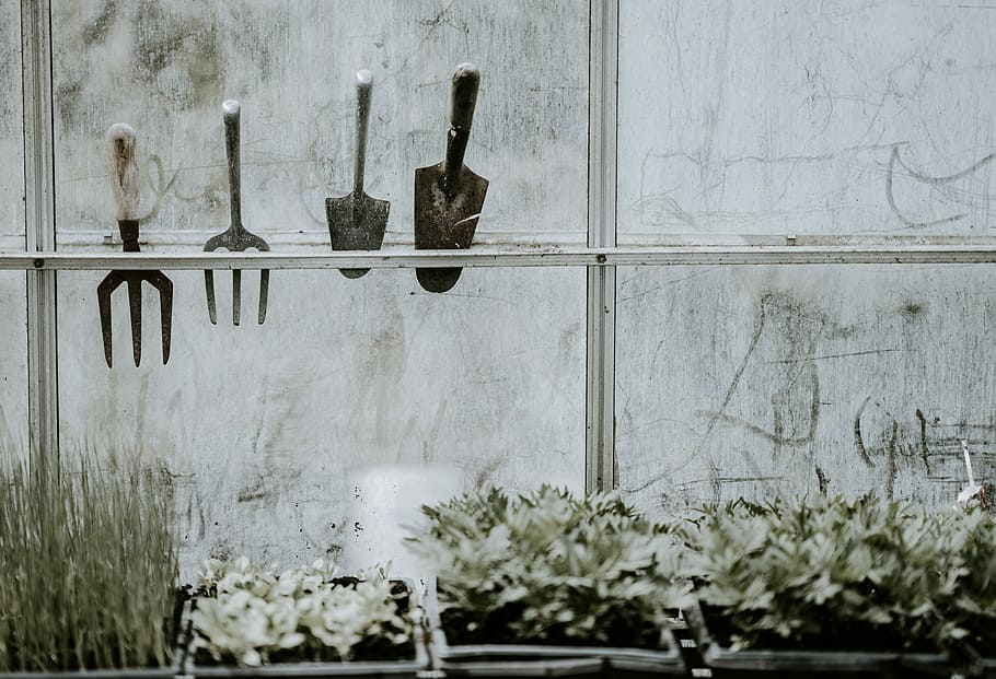 black cement trowels placed on near window, four assorted gardening tools above gardening plants, HD wallpaper