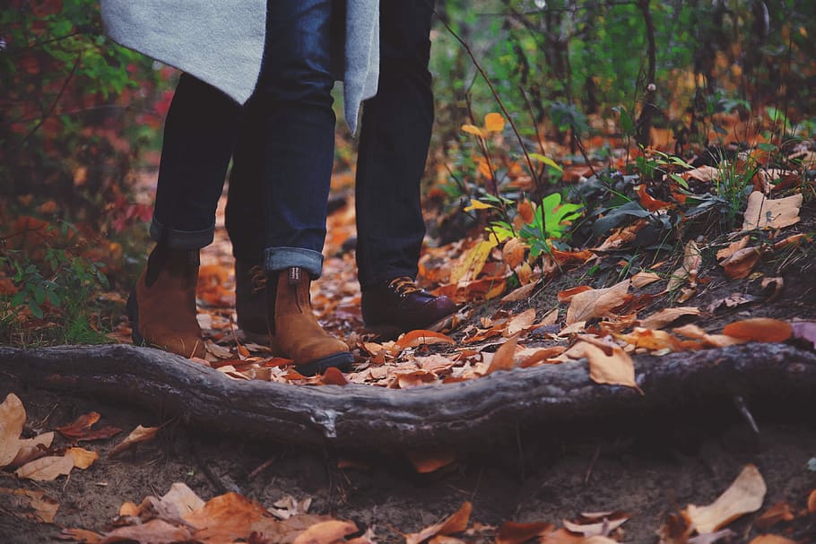 person wearing brown leather boots near trees, autumn, fall HD wallpaper