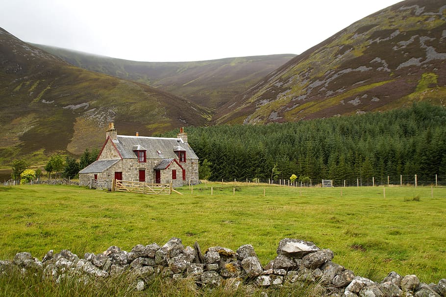 scotland, highlands, atmosphere, lonely, moor, landscape, farm, HD wallpaper