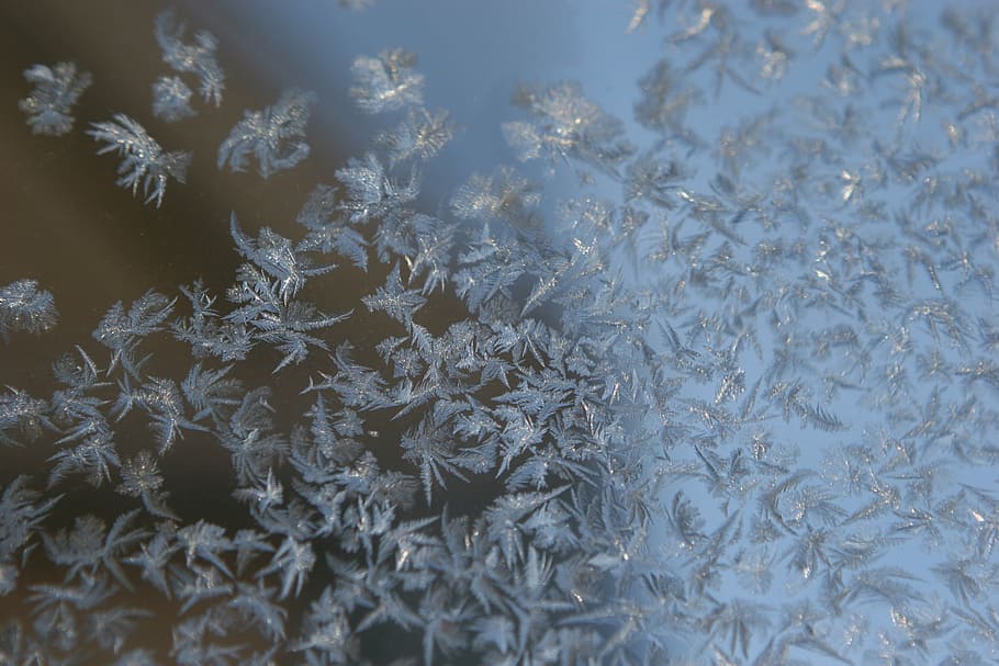 ice, snow, winter, flake, cold, christmas, frost, frozen, cold - Temperature HD wallpaper