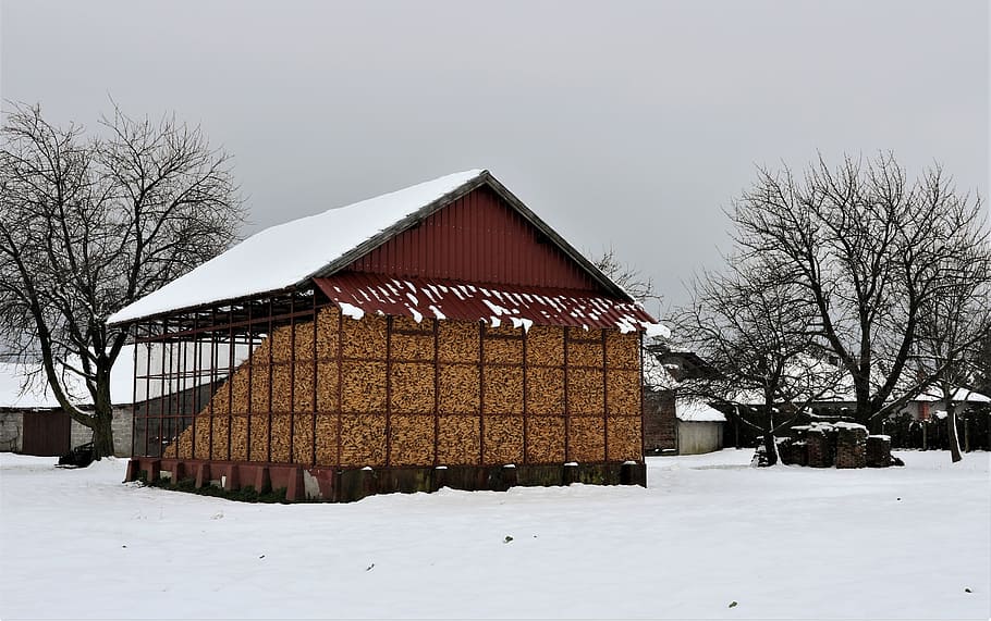 winter, house, corn, snow, cold temperature, tree, architecture HD wallpaper