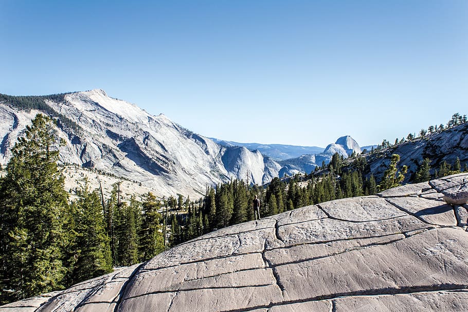 landscape, mountains, stone, trees, gray, green, raw, tioga pass HD wallpaper
