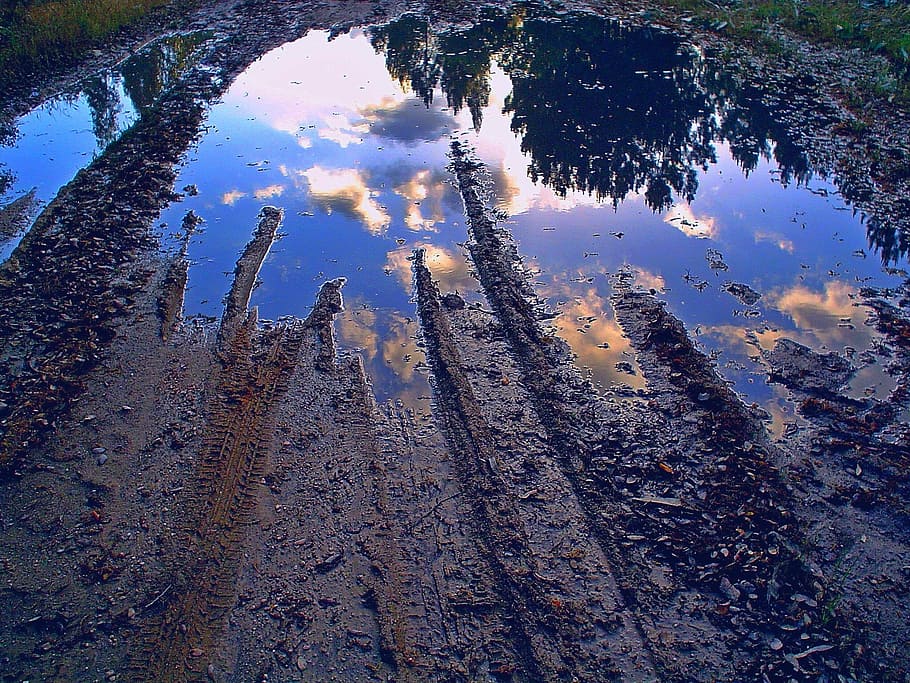 dimension, mud, reflection, tree, no people, nature, water HD wallpaper