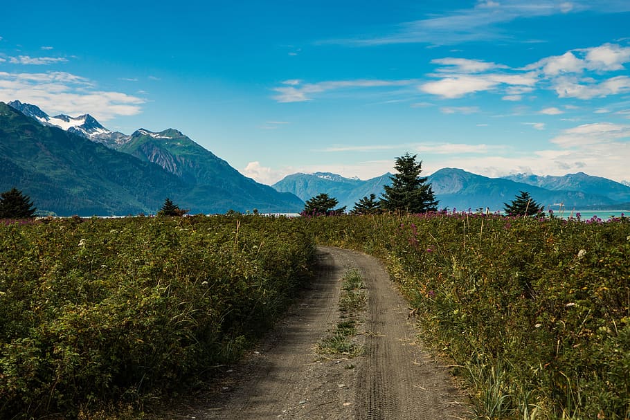road, path, green, grass, field, mountain, view, landscape HD wallpaper