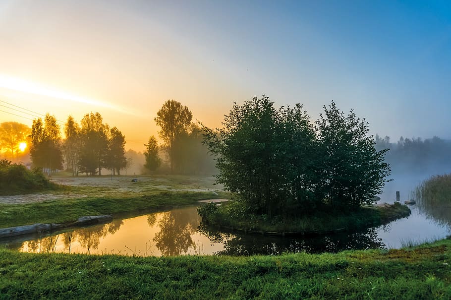 body of water surrounded by trees, nature, dawn, landscape HD wallpaper