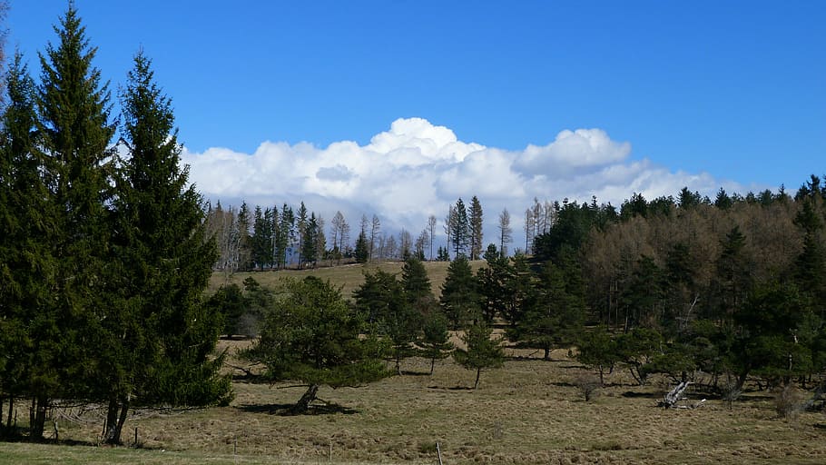 landscape, nature, mountain, trees, forest, alps, sky, clouds HD wallpaper