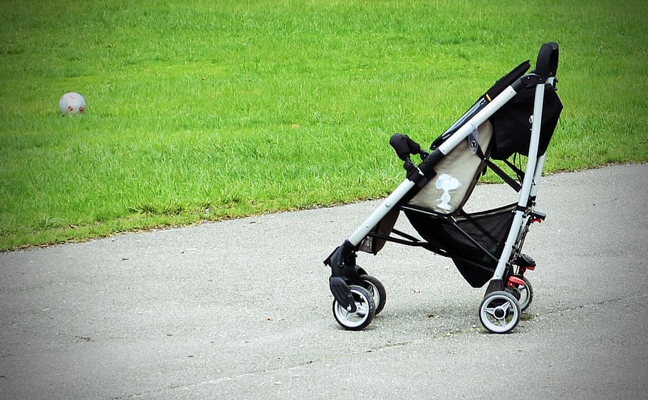 baby's black stroller near grasses, baby carriage, buggy, sun buggy