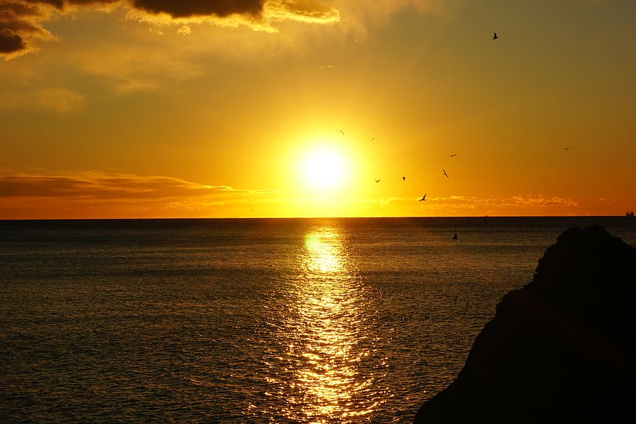 sunset, sea, gulls, sky, scenics - nature, water, beauty in nature HD wallpaper