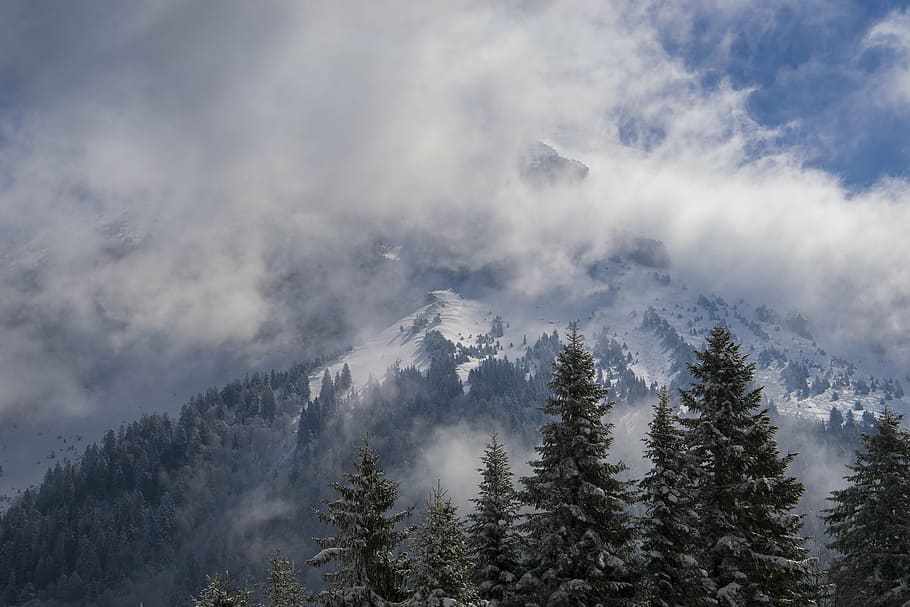 mountain, cloud, snow, fir, sky, tree, plant, environment, pine tree HD wallpaper