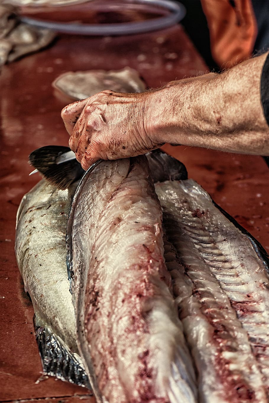 seafood, cod, fish, norway, fischer, norwegian, raw food, food and drink HD wallpaper