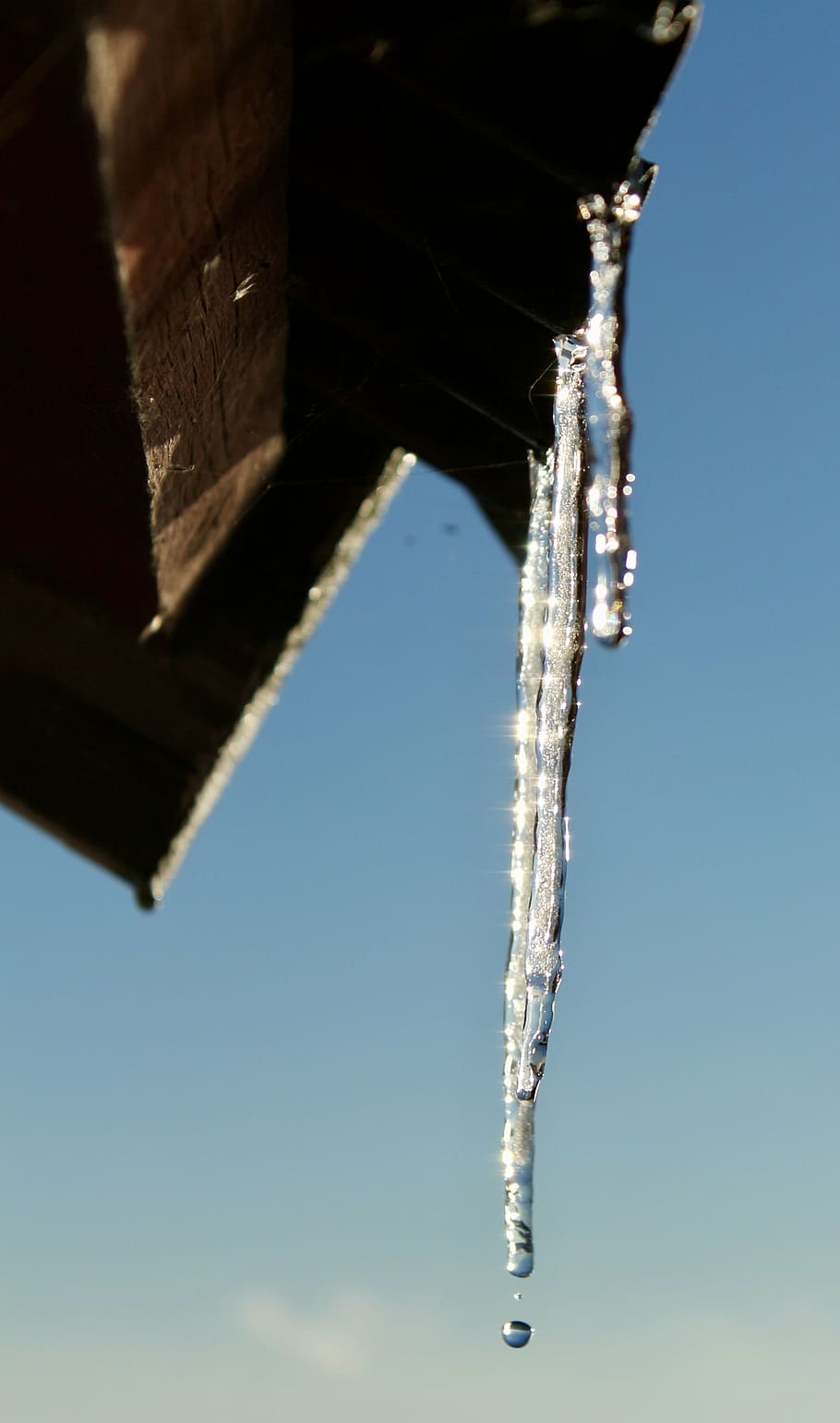 winter, ice, two, clear sky, icicle, blue, nature, cold temperature HD wallpaper