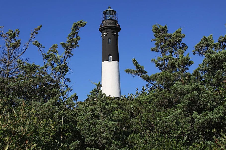 lighthouse, tower, nautical, navigation, guidance, trees, sea HD wallpaper