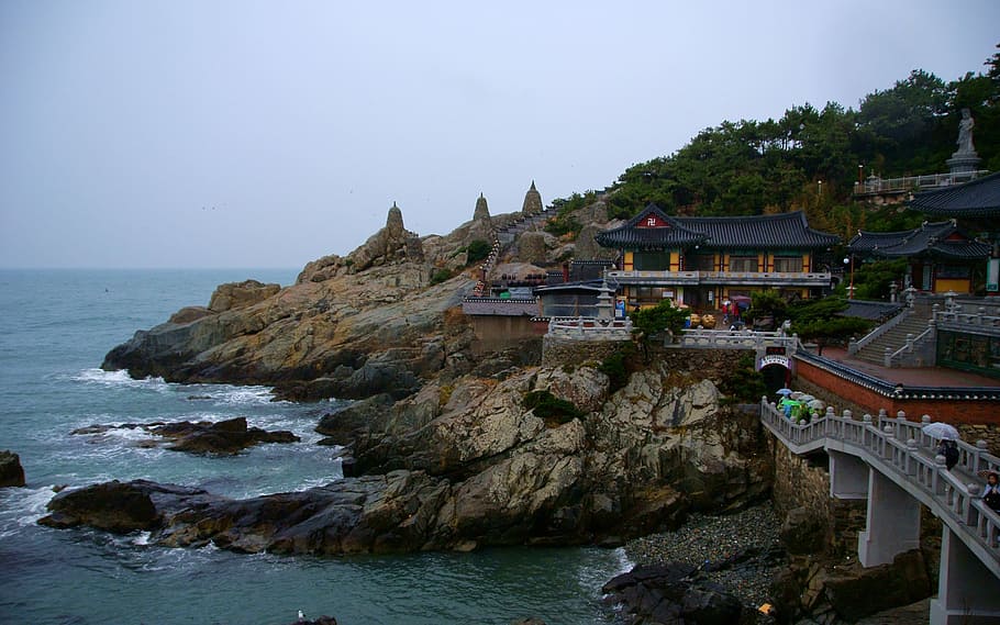 klitschko, whether or not, busan, sea, architecture, water HD wallpaper