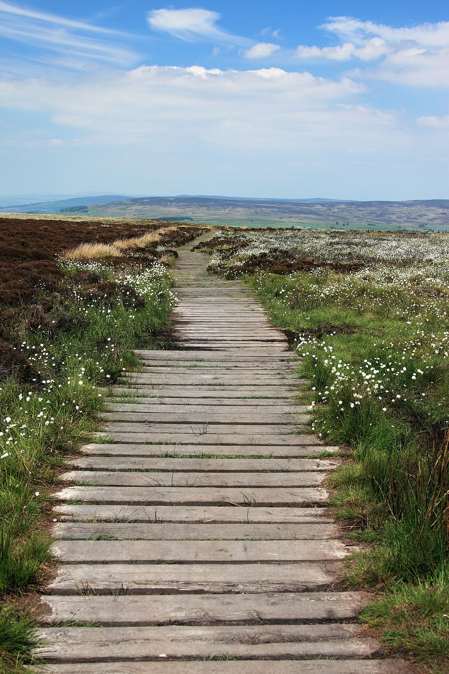 pathway between green grass under cloudy sky at daytime, boardwalk HD wallpaper