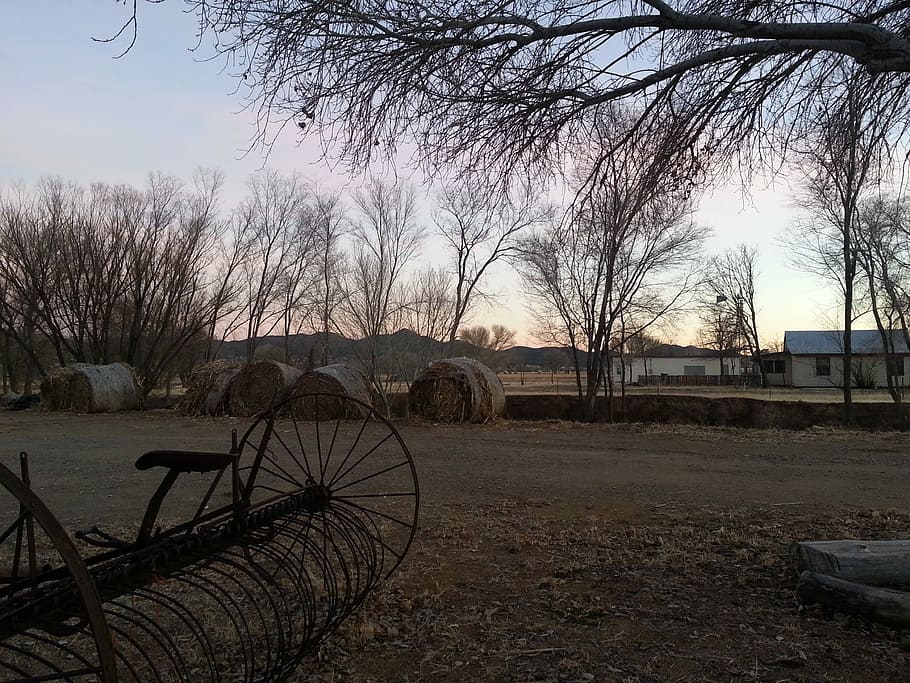 Prescott, Arizona, Ranch, Farm, equipment, trees, bales, hay, HD wallpaper