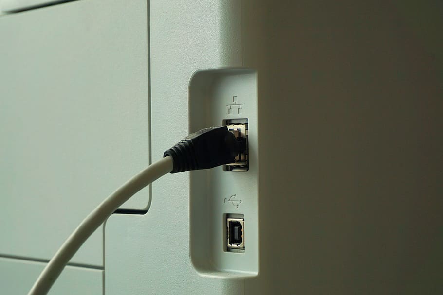 network, network printer, connection, cable, lan, network connector HD wallpaper