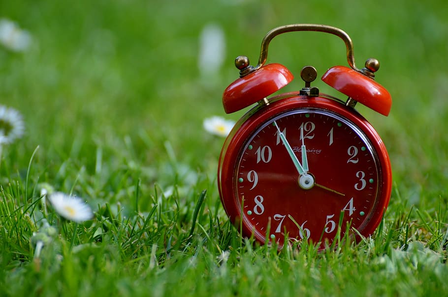 selective focus photo of a red bell alarm clock on green grass field, HD wallpaper