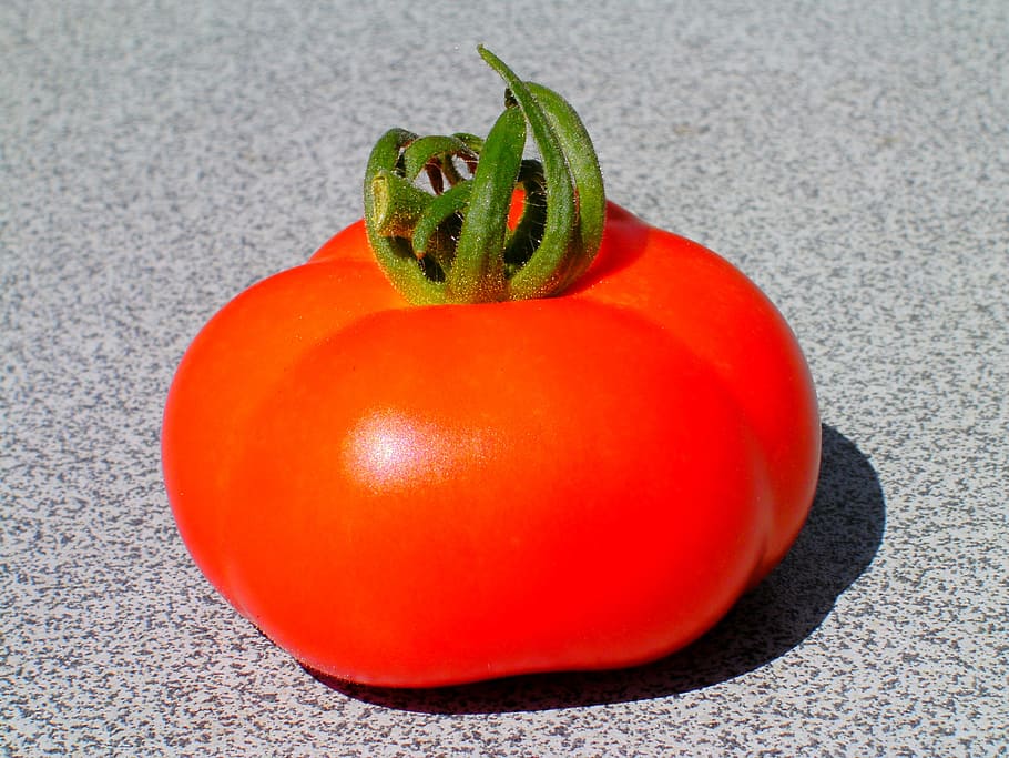 Tomato, Fruit, Garden, Cash, Food, vegetable, breeding, food and drink, HD wallpaper