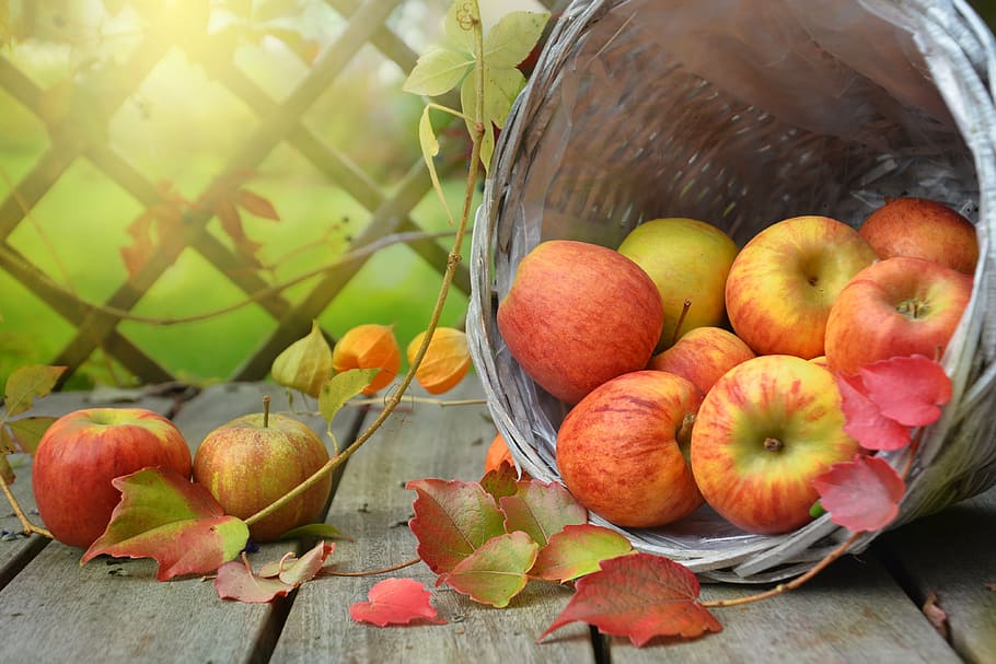 basket of apples, autumn, leaf, still life, nature, harvest HD wallpaper