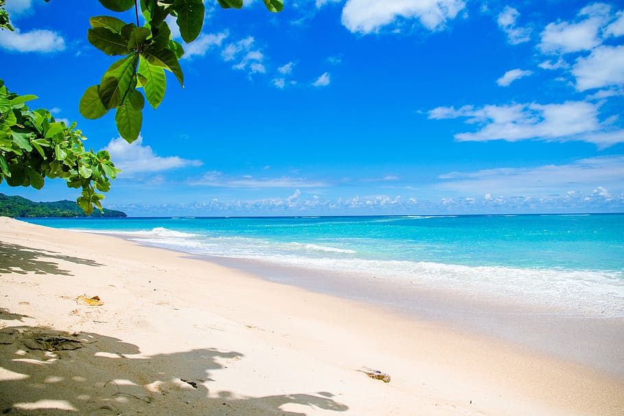 seashore and calm sea under blue sky, ocean waves, cumulus clouds, HD wallpaper