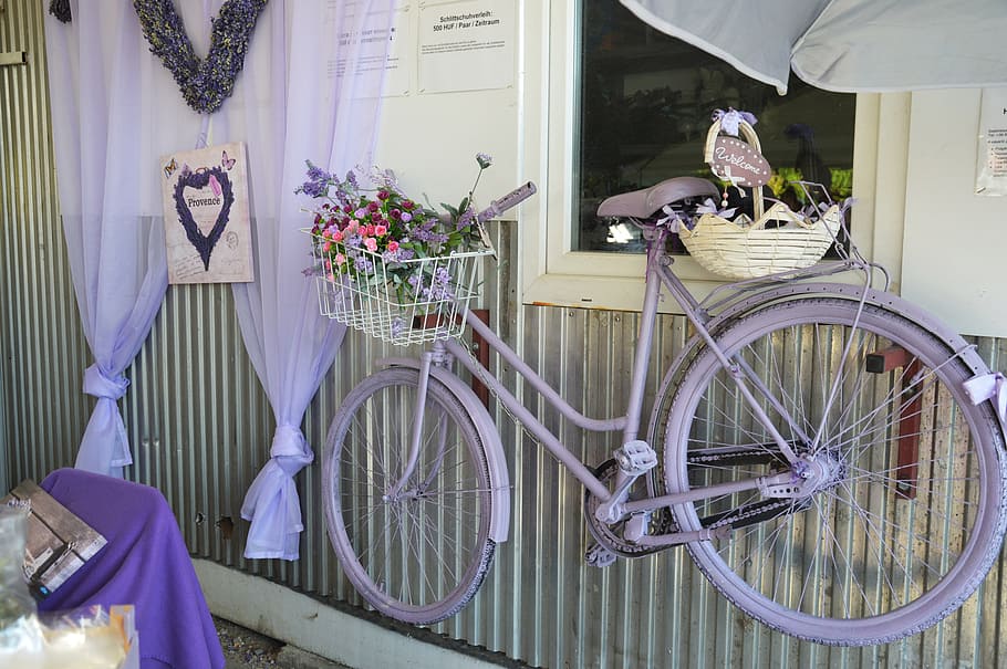 purple cruiser bike hanging on gray wall, lavender, bicycle, transportation, HD wallpaper