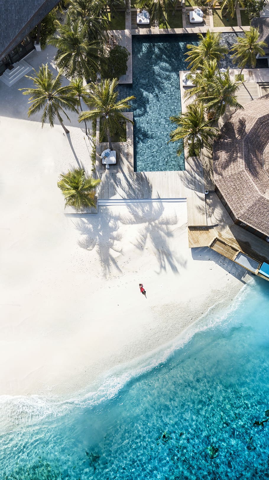 aerial view photography of seashore and pool, sectional pool with palm tree beside blue ocean water during daytime HD wallpaper