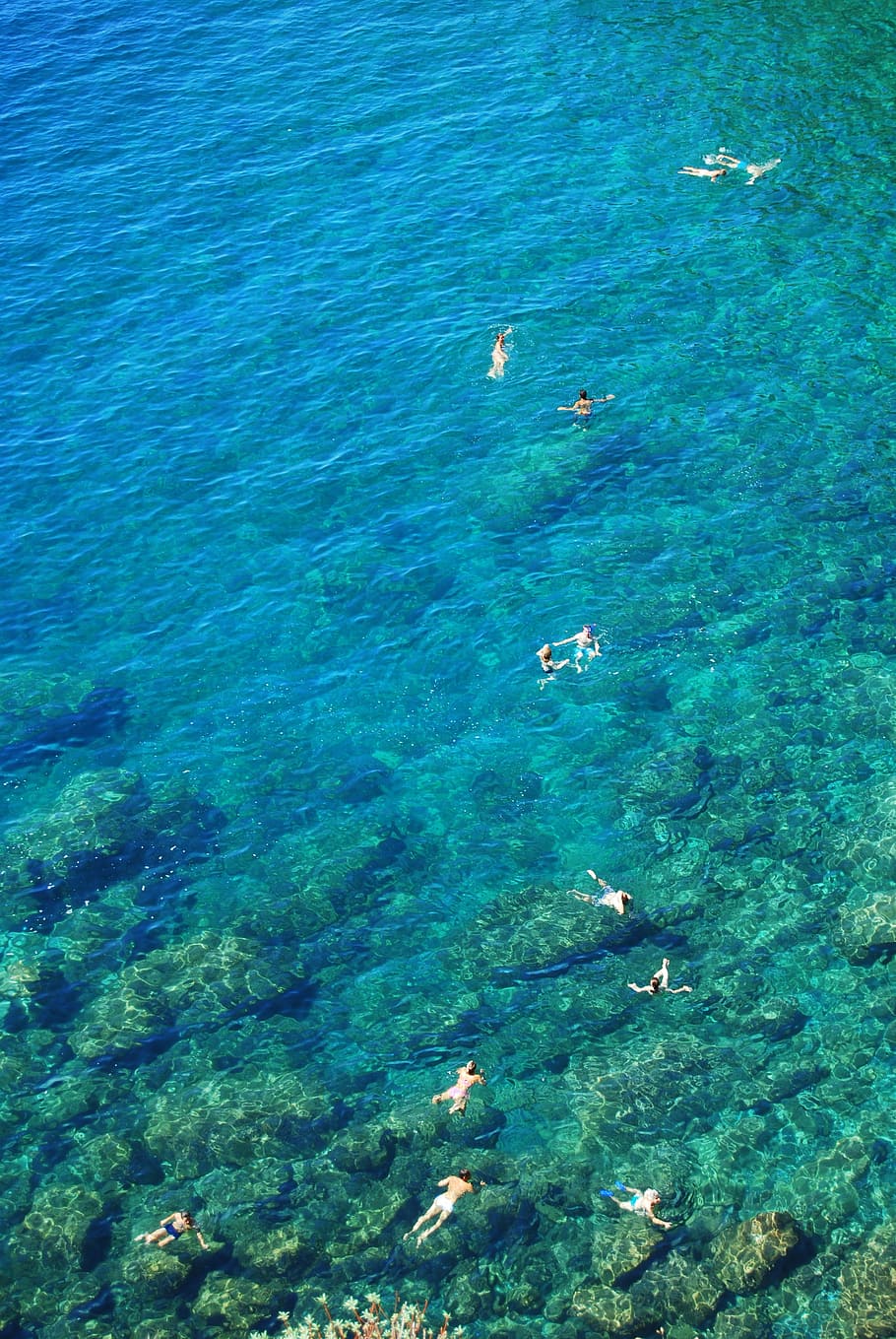 bathers, water, transparent, clear, summer, holiday, hot, sea HD wallpaper
