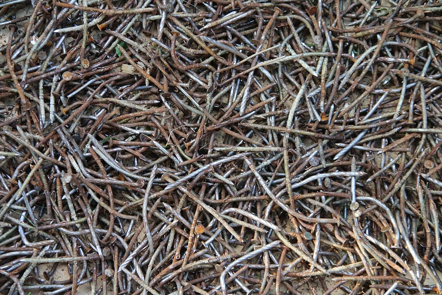 nails, used, rusty, old worn out, iron, full frame, plant, dry HD wallpaper