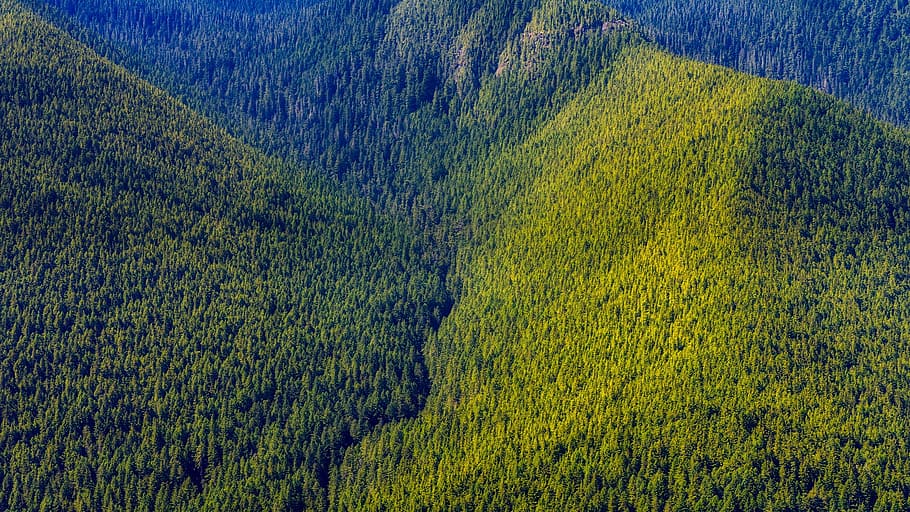 bird's eye-view photography of green hills, Washington, Mountains HD wallpaper
