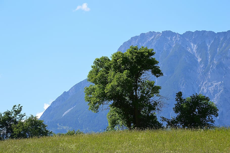 sautens, mountains, alpine, view, alm, oetztal, nature, austria, HD wallpaper