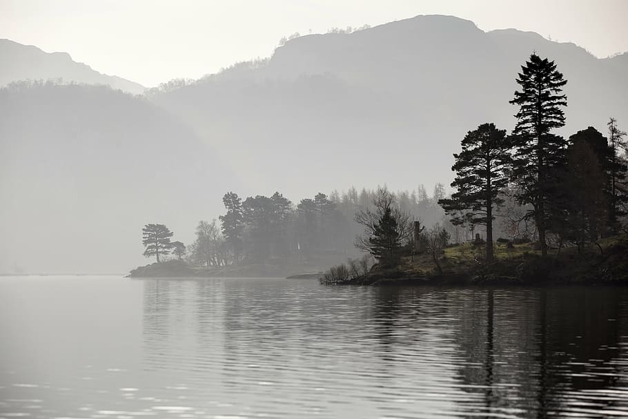 foggy trees and lake, river, nature, landscape, lake district, HD wallpaper