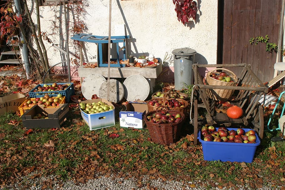 fruit, orchard, apple, pears, street vending, container, day HD wallpaper