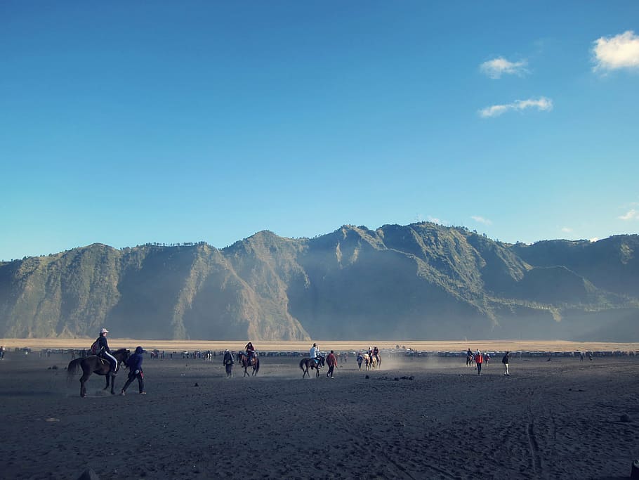 animals, blue sky, clear sky, dirt, dust, horseback riding HD wallpaper