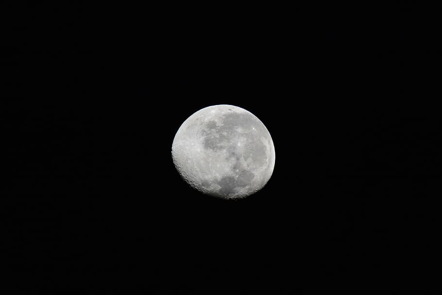 earth's moon, lunar, space, night, sky, astronomy, astrology HD wallpaper