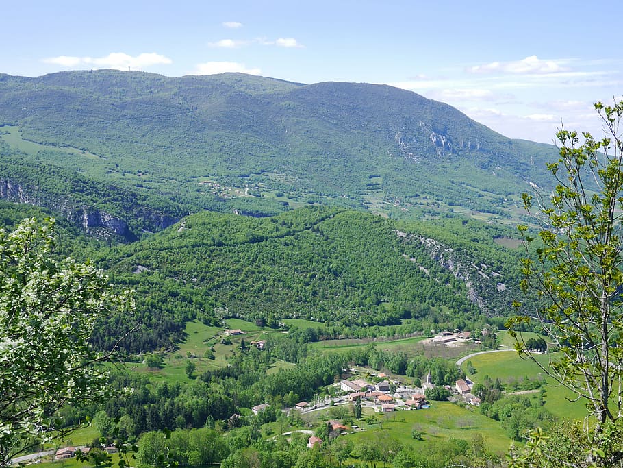 mountain, forest, landscape, tree, summer, hiking, green, vercors HD wallpaper