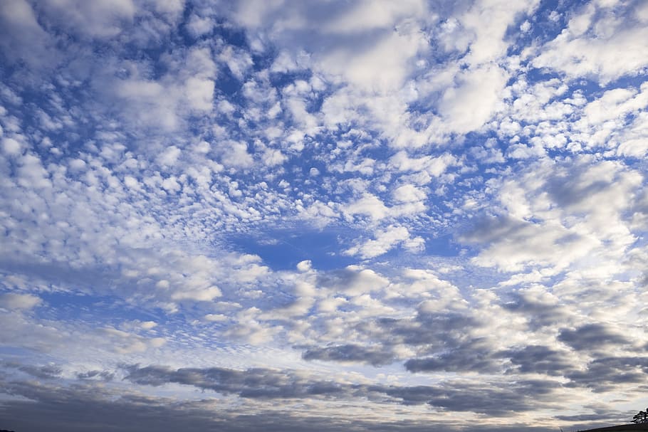 clouds, sky, cumulus, fleecy, fluffy, nature, dramatic, cloud - sky HD wallpaper