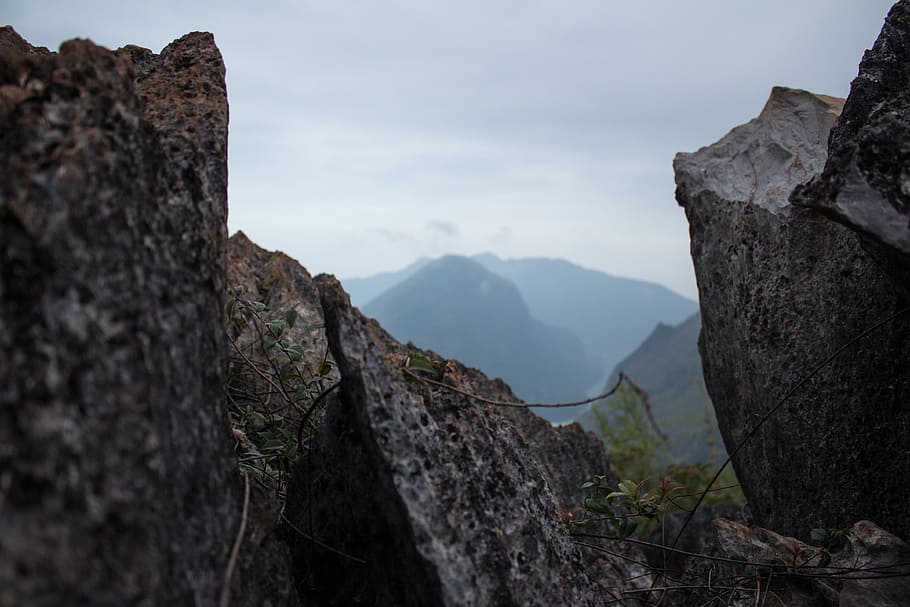 grey rock formations near green leaf plant, gray rock formations HD wallpaper