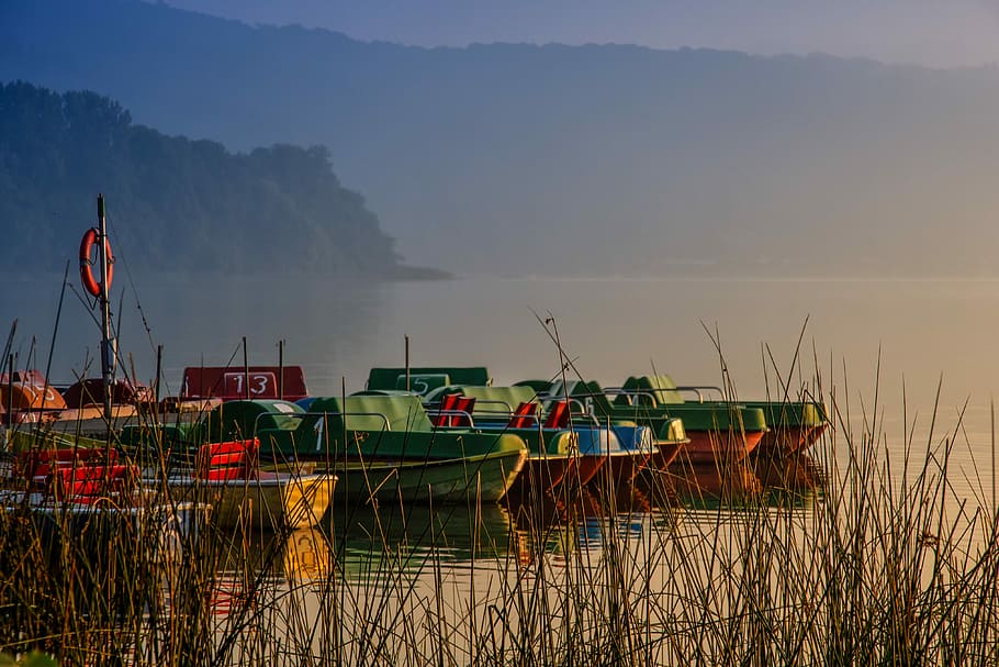 green and blue bass boats docks in body of water, sunrise, dawn