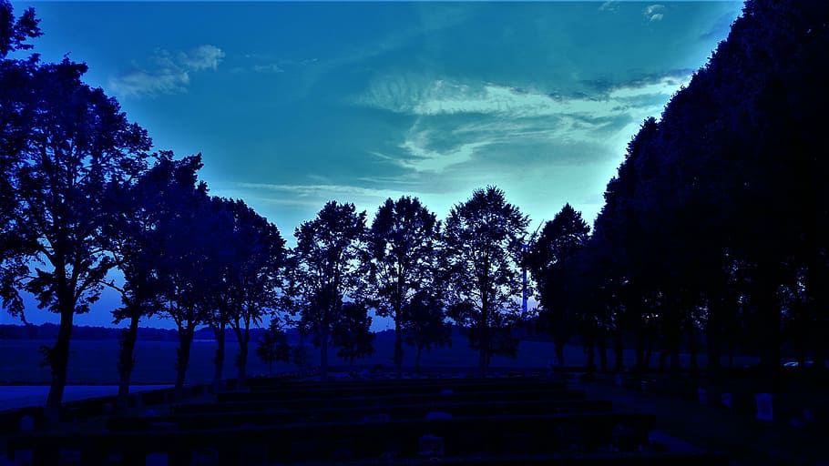 cemetery, ghostly, atmosphere, tree, plant, sky, nature, cloud - sky HD wallpaper