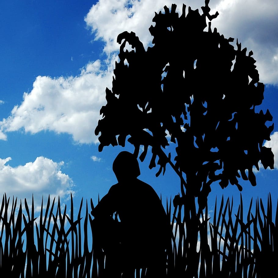 clouds, man, tree, sky, person, nature, male, outdoor, blue HD wallpaper