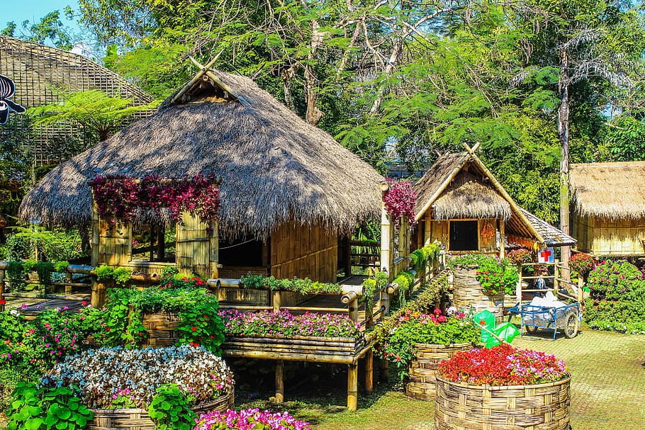 Photo of Huts Surrounded by Flowers, bloom, blooming, blossom HD wallpaper