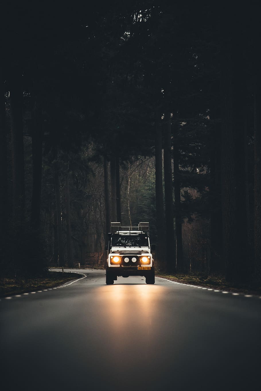 white car in the middle of trees, white car driving on car with headlight turned on HD wallpaper